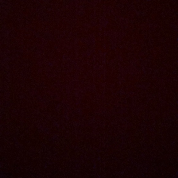 Meet your Posher, Samson - Picture 1 of 1